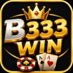 B333 Win