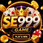 SE999 Game