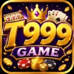 T999 Game